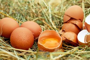 Pastured Free Range Eggs Adelaide